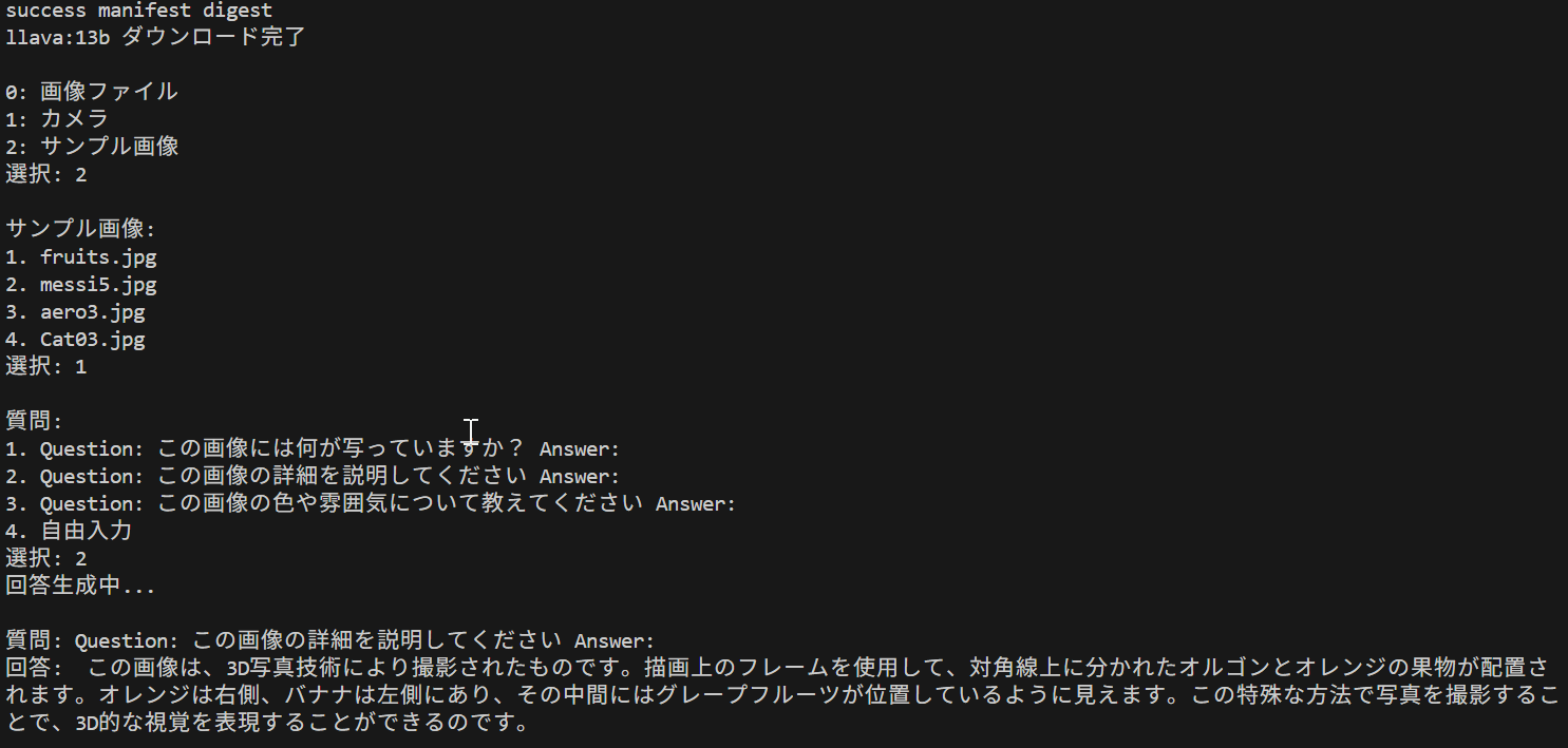 OLLAMA LLaVA 1.6 による Visual Question Answering