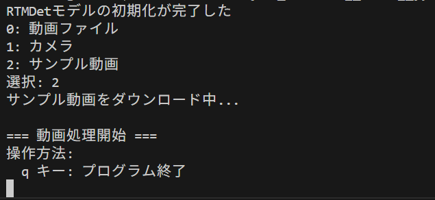 RTMDet による物体検出