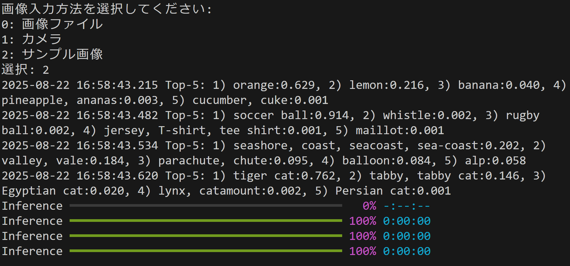 MMPretrain による画像分類