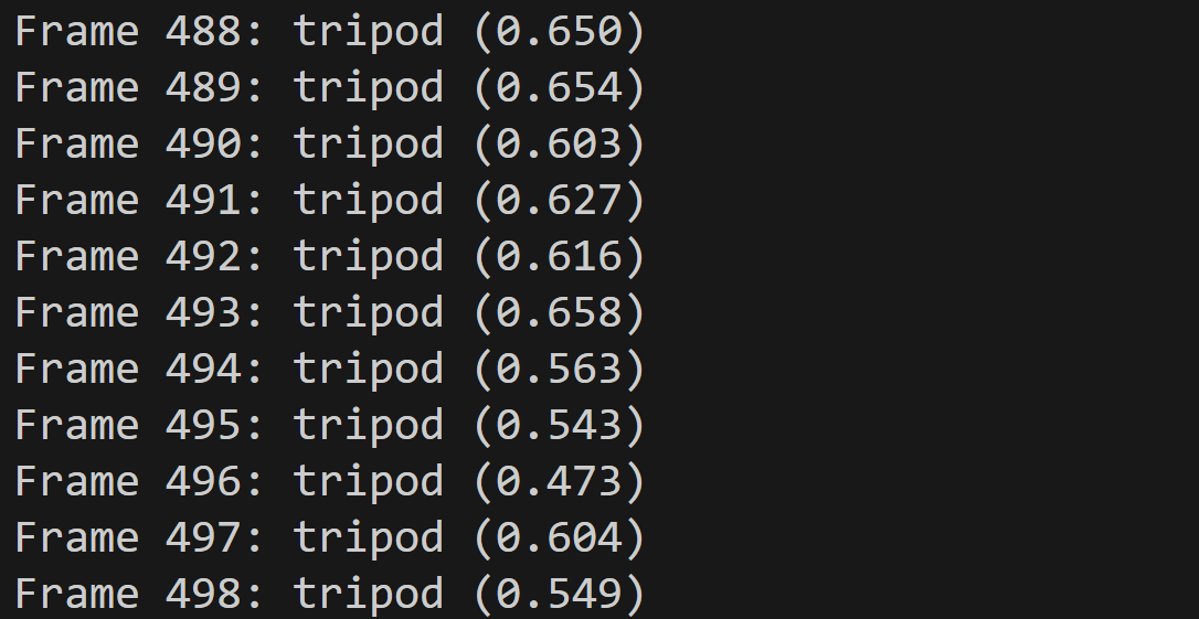 EfficientNetV2による画像分類結果