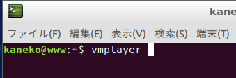 Player 起動確認 (過去バージョンのイメージ)